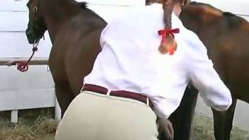 Astonishing Jockey got her mouth creamed by awesome brown horse