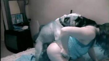 Fat-ass bitch and cute small hound have amazing sex in the bed